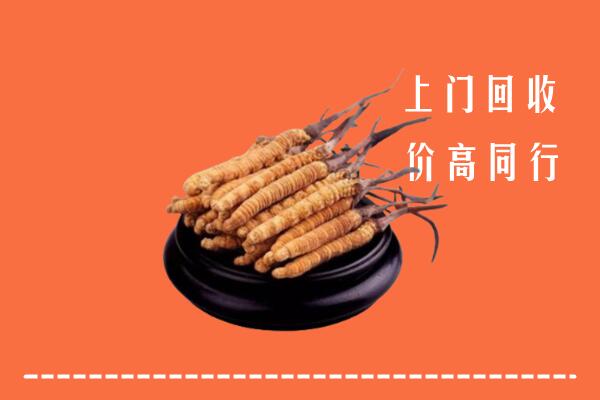 高价求购：惠州惠城区回收散虫草