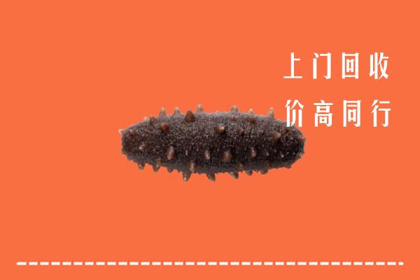 高价求购：惠州惠城区回收海参