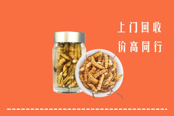 惠州惠城区回收冬虫夏草