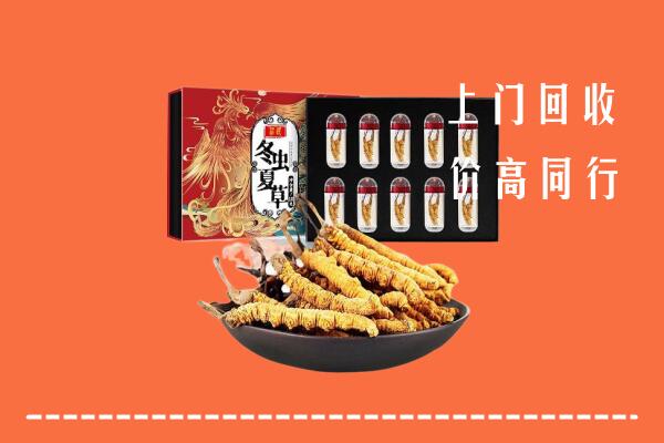 惠州惠城区回收虫草